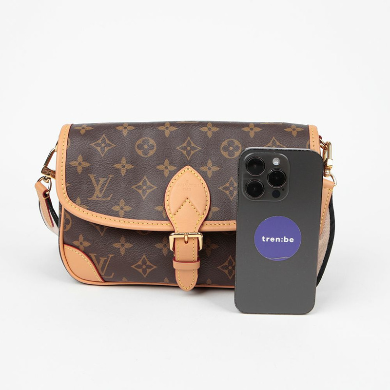 LOUIS VUITTON M45985 Diane 單肩斜背包-9