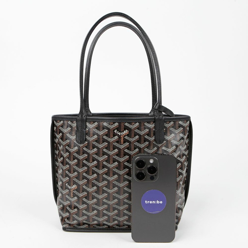 GOYARD 迷你 Anjou 手提包-7