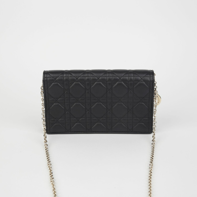 DIOR S0204ONMJ Lady Pouch斜背包-2