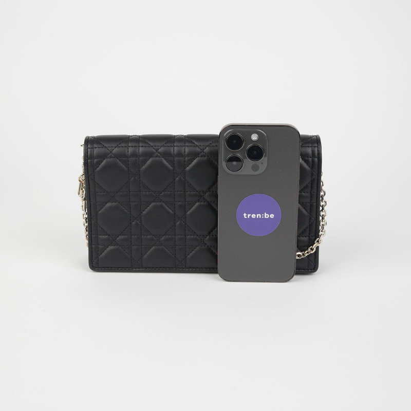 DIOR S0204ONMJ Lady Pouch斜背包-5
