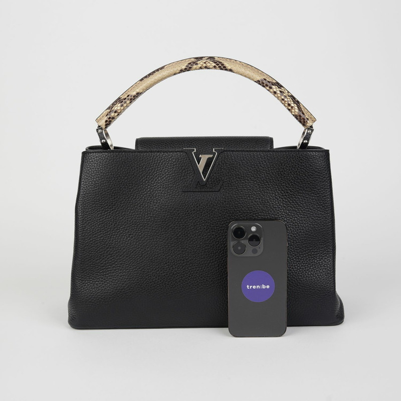 LOUIS VUITTON N91659 Capucines Python 中型手提包-8