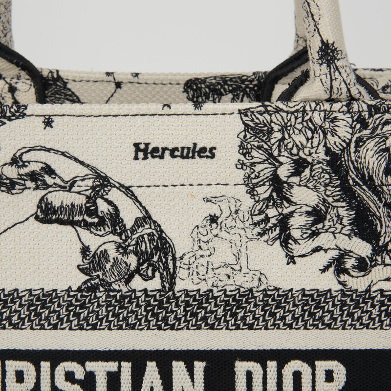 DIOR M1265ZRHZ North Tote 十二生肖刺繡小號手提包-1