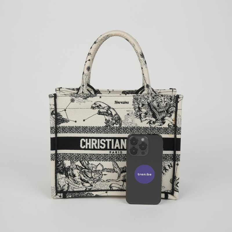 DIOR M1265ZRHZ North Tote 十二生肖刺繡小號手提包-8