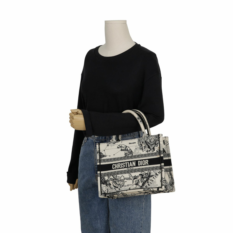 DIOR M1265ZRHZ North Tote 十二生肖刺繡小號手提包-10