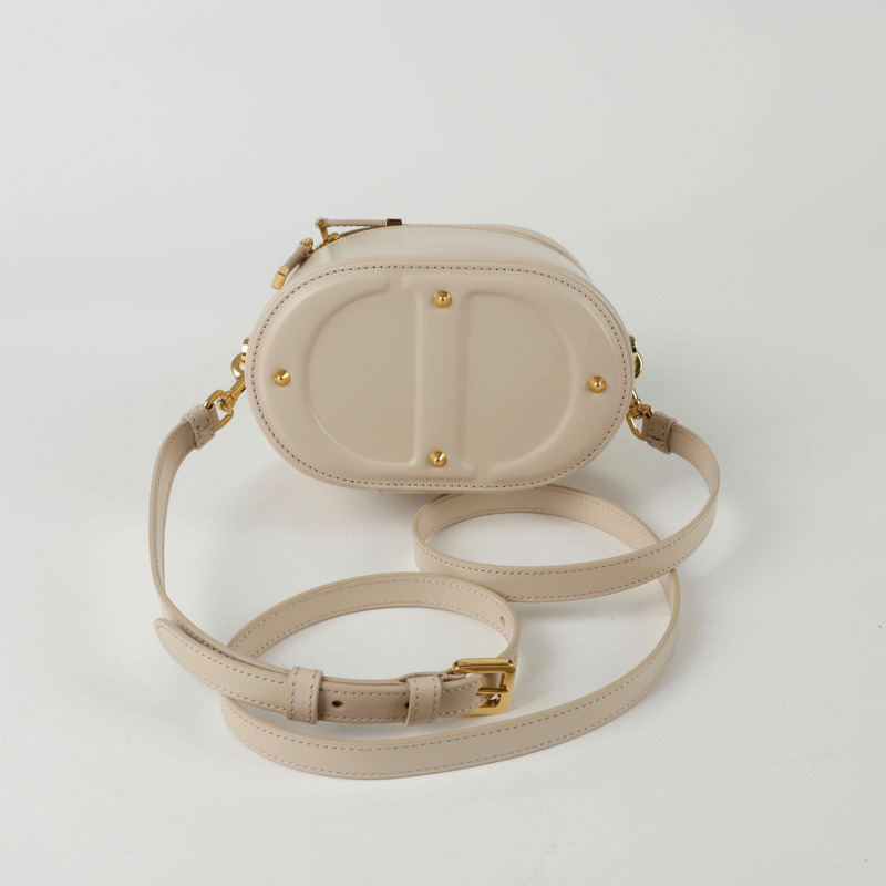 DIOR S2203UMFV CD Signature Vanity 小號托特單肩包-7