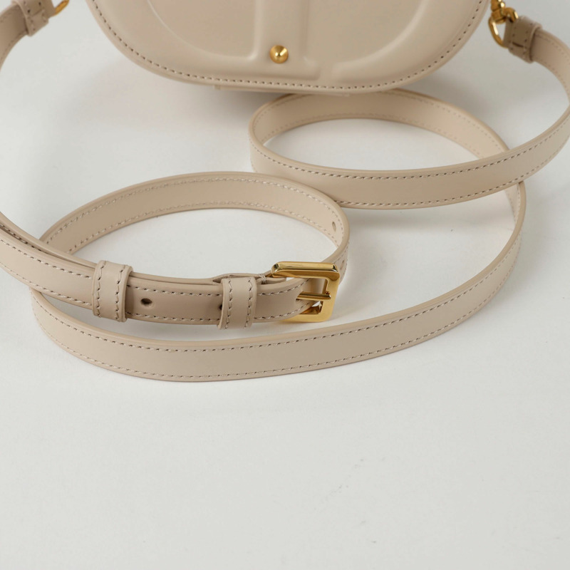 DIOR S2203UMFV CD Signature Vanity 小號托特單肩包-8