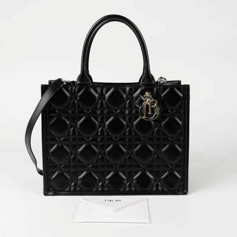 DIOR M1324OWHP Book Tote 中型手提單肩包