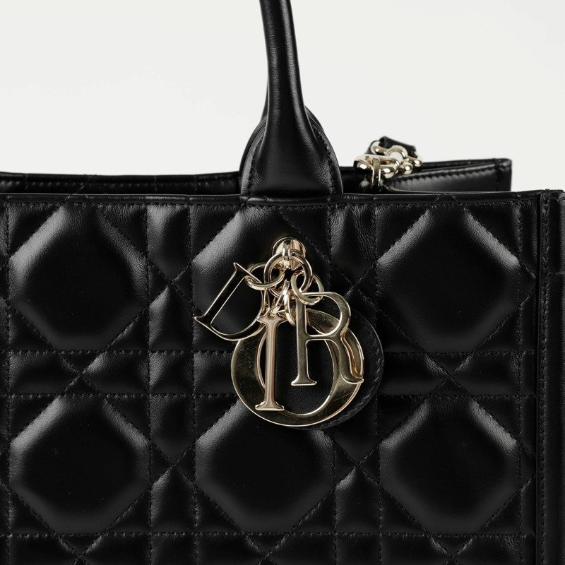 DIOR M1324OWHP Book Tote 中型手提單肩包-1