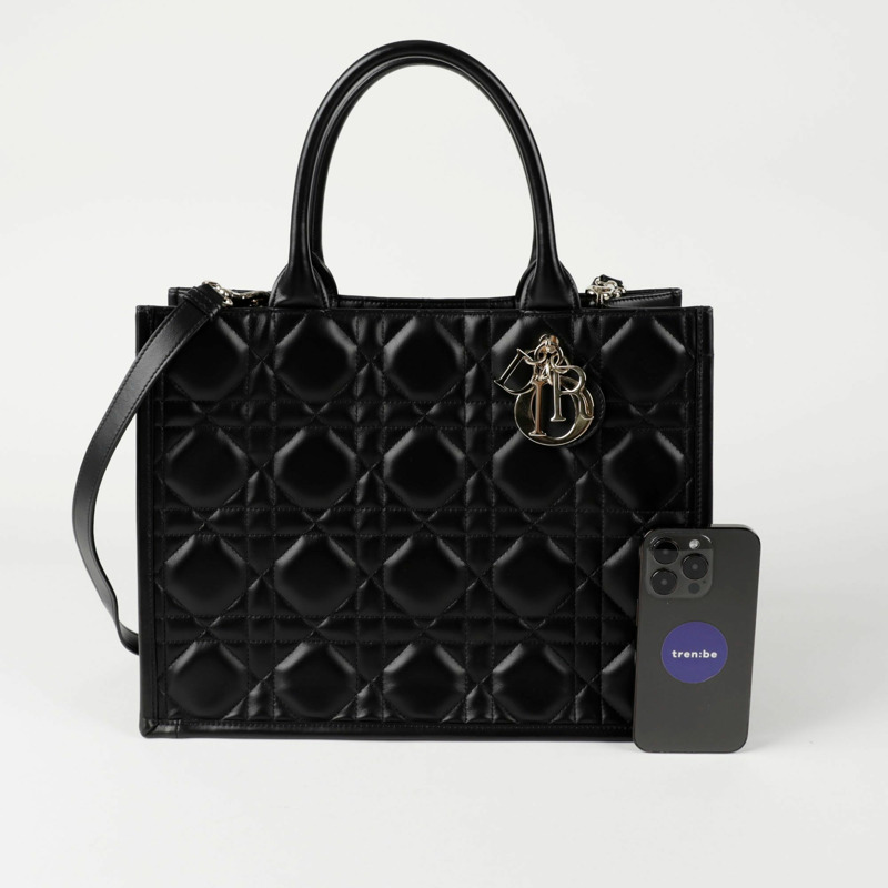 DIOR M1324OWHP Book Tote 中型手提單肩包-10