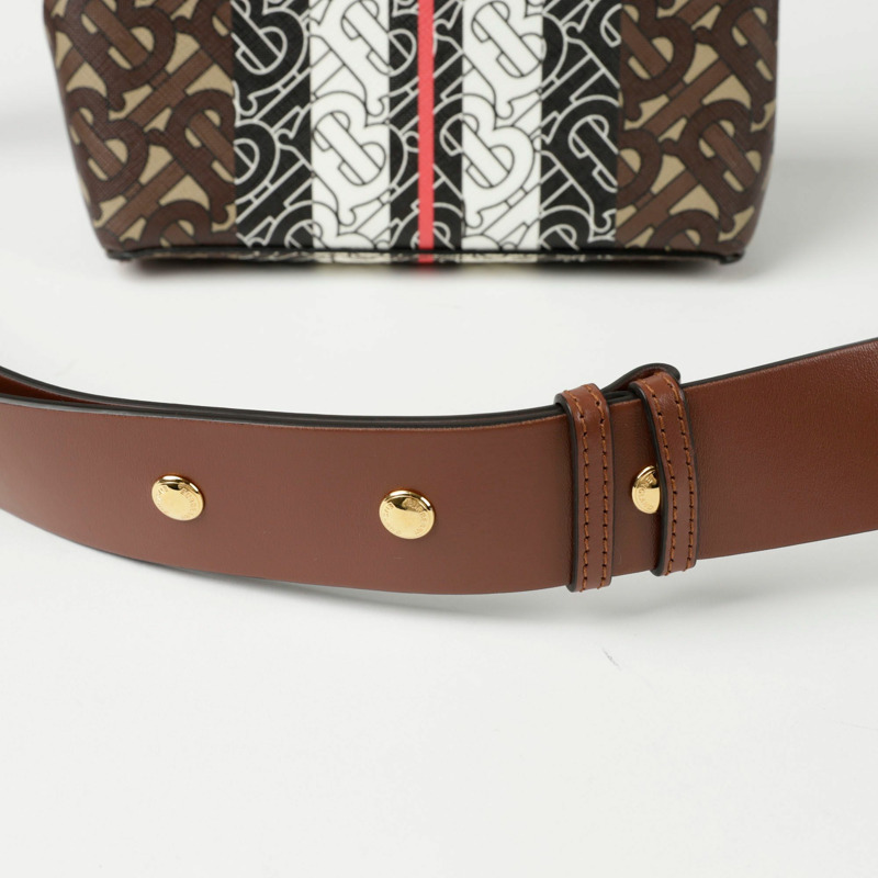 BURBERRY Monogram Stripe E 帆布肩斜背包 8033386-4