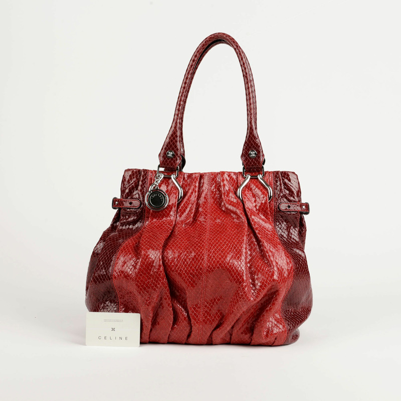 CELINE 硬幣裝飾蟒蛇紋手提包和單肩包-0