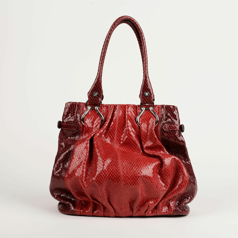 CELINE 硬幣裝飾蟒蛇紋手提包和單肩包-4