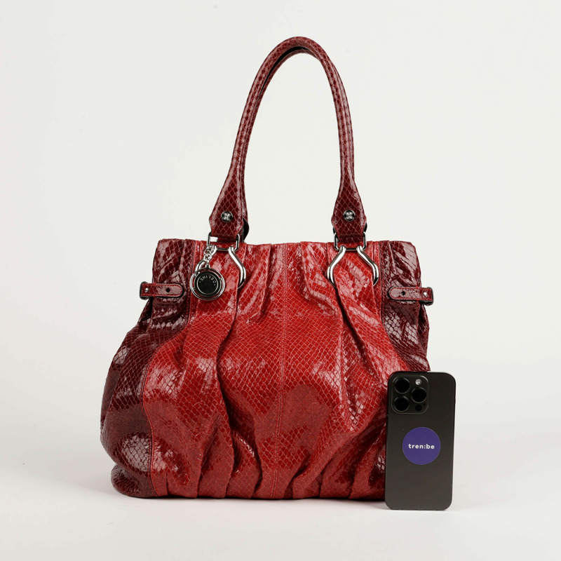 CELINE 硬幣裝飾蟒蛇紋手提包和單肩包-9