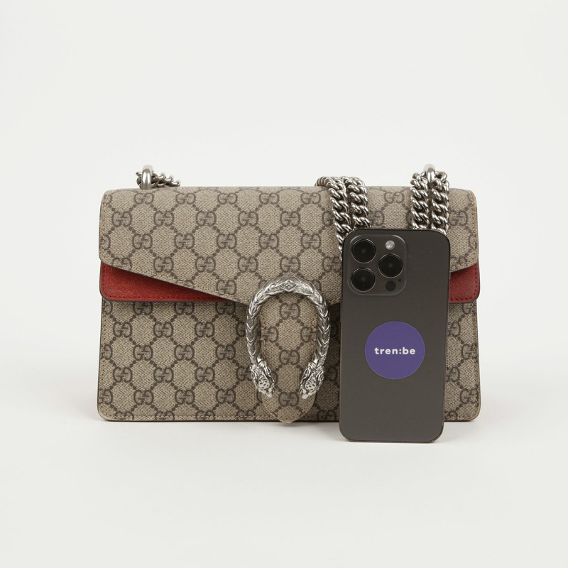 GUCCI Dionysus 小號肩背包-10