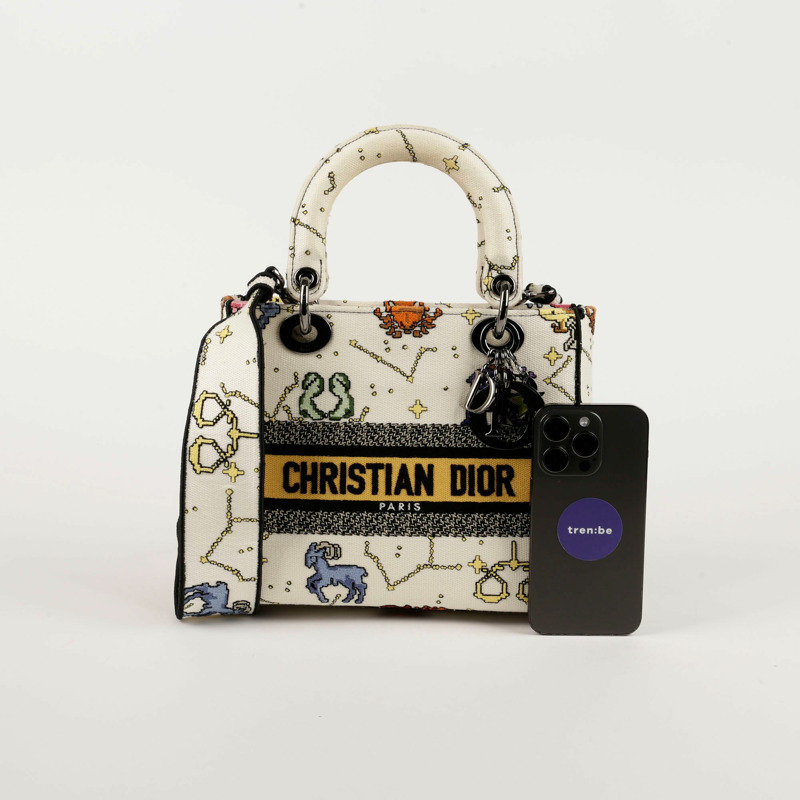 DIOR Lady Pixel Zodiac Di Light 手提包和單肩包-11