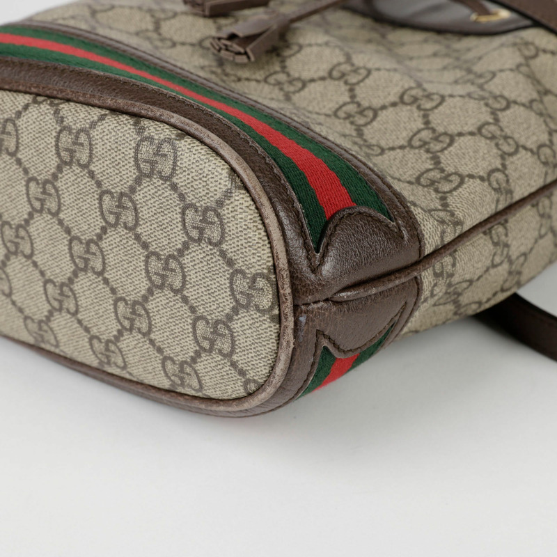 GUCCI Ophidia 小號水桶手提包和肩背包-10
