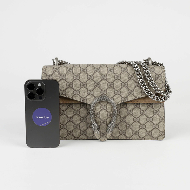 GUCCI Dionysus 小號肩斜背包-6