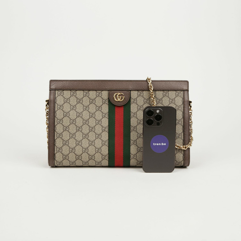GUCCI Ophidia GG 中型單肩包-8