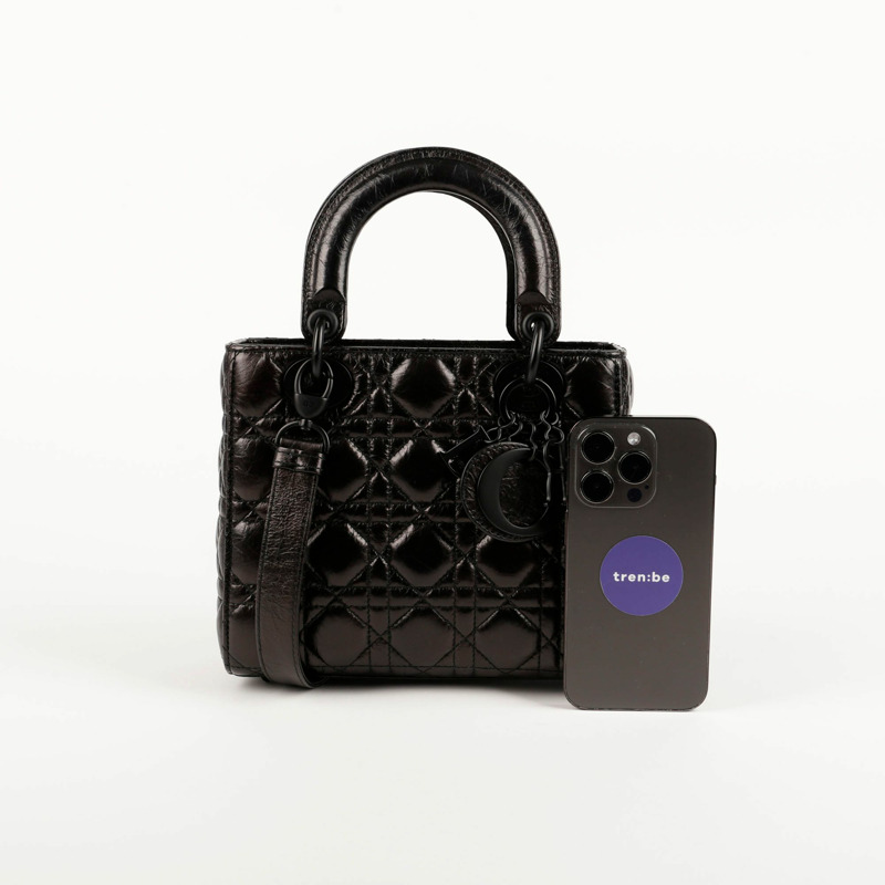 【包稅】DIOR 女士小型手提包和肩背包-10