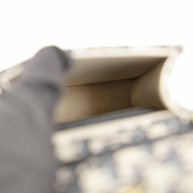 【包稅】DIOR 馬鞍形直式收納包和斜背包-10