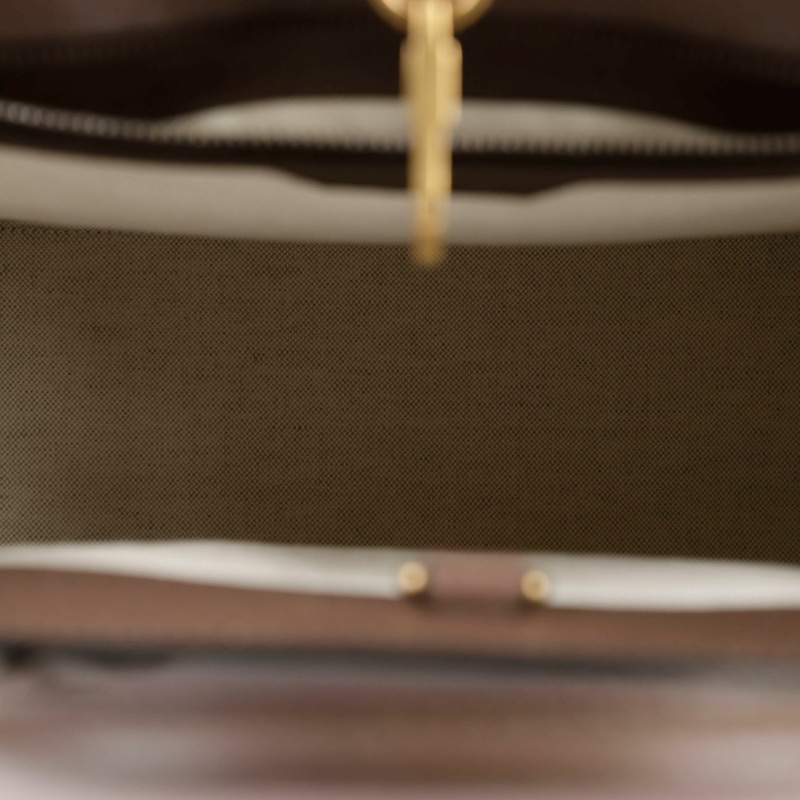 【包稅】GUCCI GG Tiger 中型手提單肩包-10