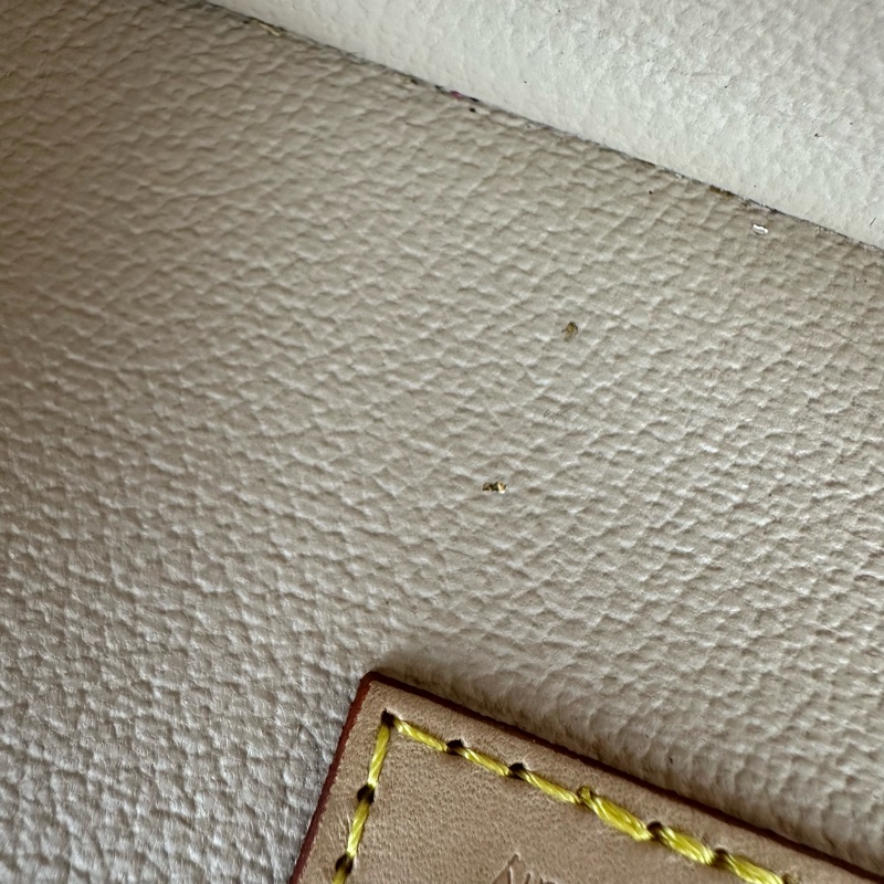 LV Nice Mini 老花化妝包 手拿包-21