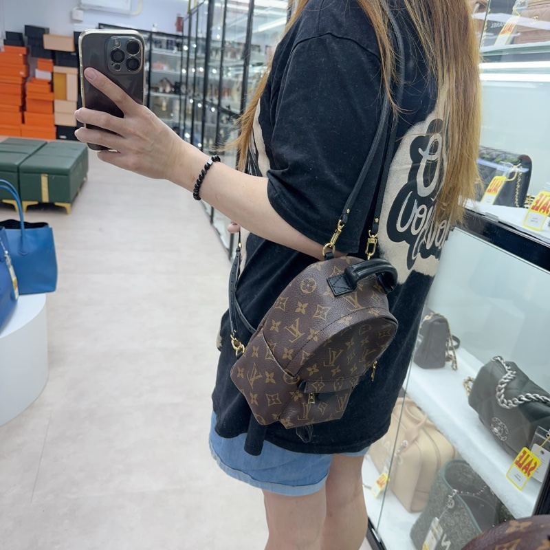 LV Palm Springs Mini 老花迷你小背包-1