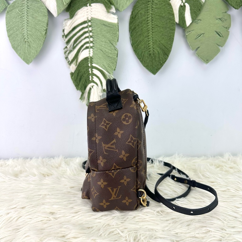 LV Palm Springs Mini 老花迷你小背包-2
