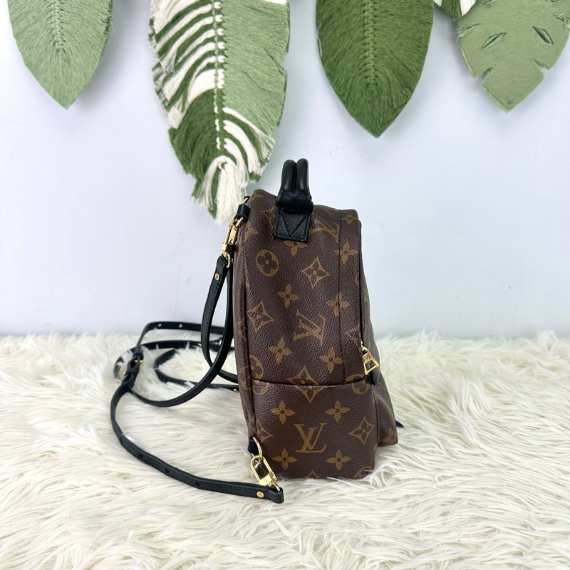 LV Palm Springs Mini 老花迷你小背包-3