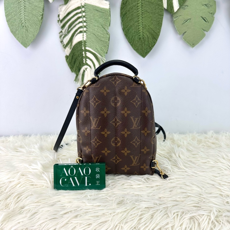 LV Palm Springs Mini 老花迷你小背包-4