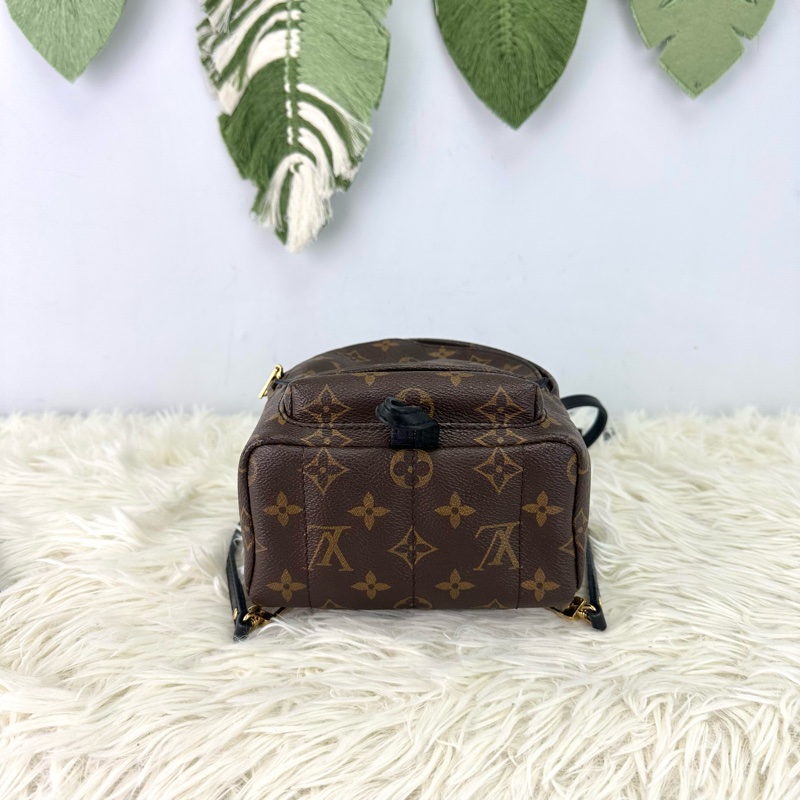 LV Palm Springs Mini 老花迷你小背包-5