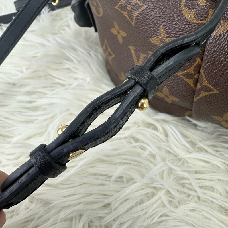 LV Palm Springs Mini 老花迷你小背包-9