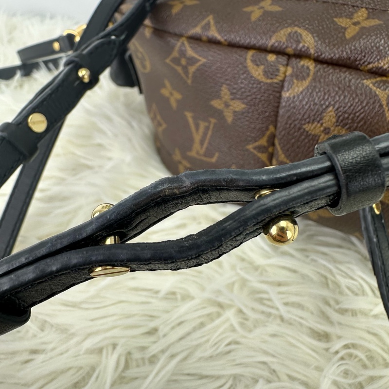 LV Palm Springs Mini 老花迷你小背包-10