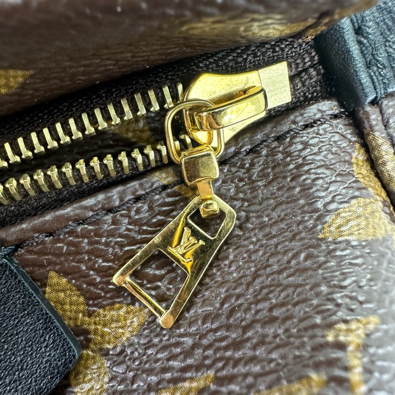 LV Palm Springs Mini 老花迷你小背包-12