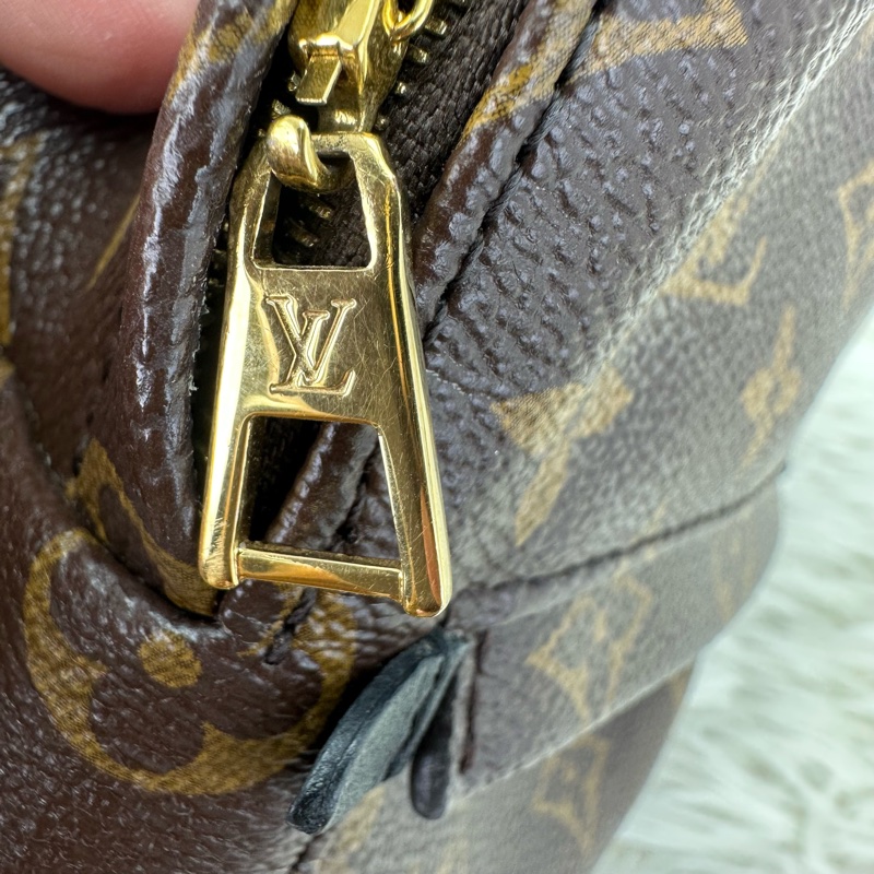 LV Palm Springs Mini 老花迷你小背包-21