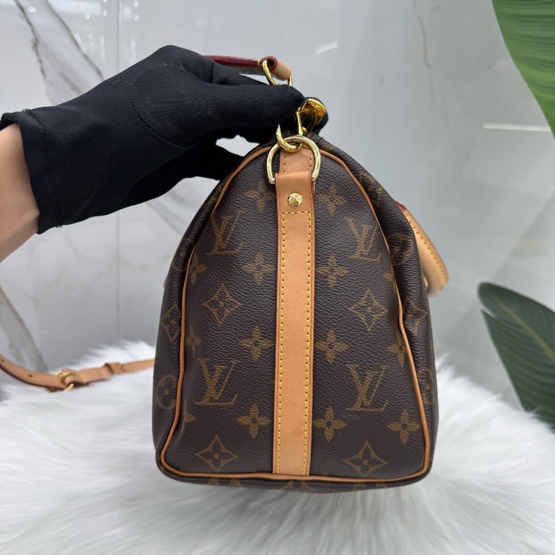 Louis Vuitton speedy25 手提包肩背包 晶片款-3