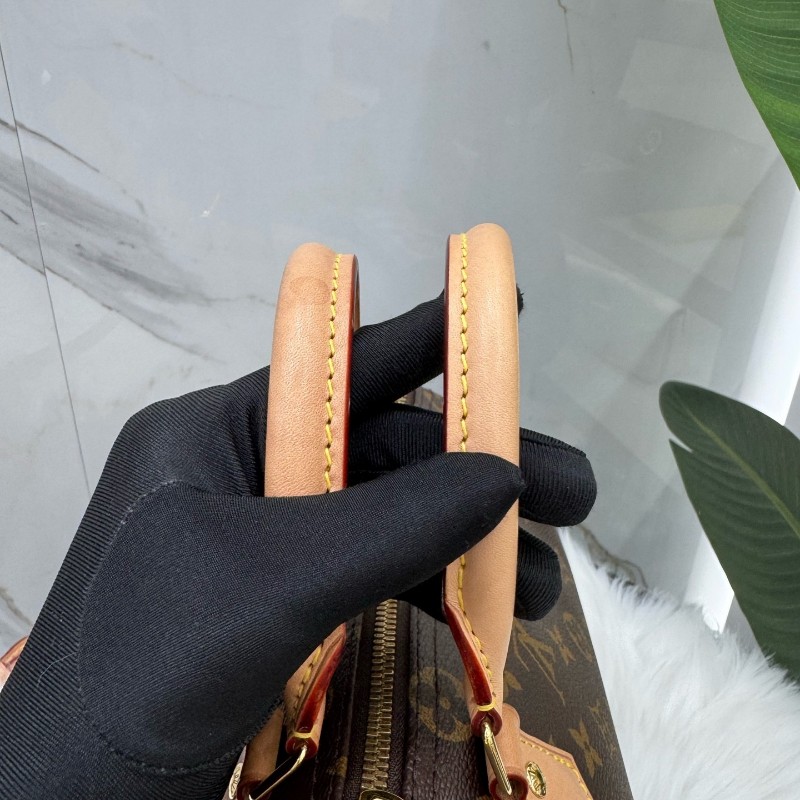 Louis Vuitton speedy25 手提包肩背包 晶片款-7