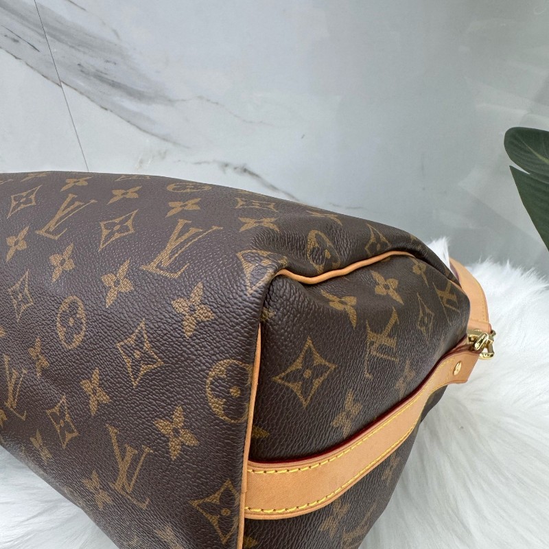 Louis Vuitton speedy25 手提包肩背包 晶片款-10