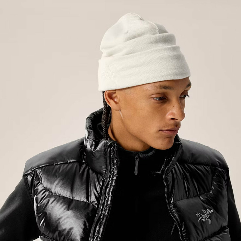 Arc'Teryx - Berretto Embroidered Bird Toque Arctic Silk - X000010066 - ARCTIC/SILK-4