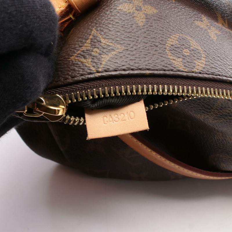 LOUIS VUITTON 腰包 M43644 Monogram 帆布皮革棕色二手男女通用 LV-4