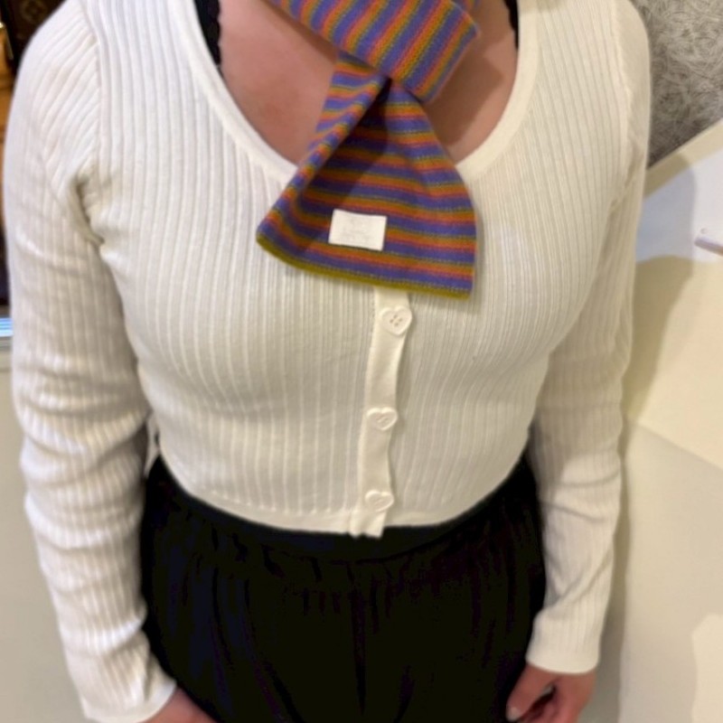 Hermes 紫橘黃橫條 cashmere 短圍巾-2