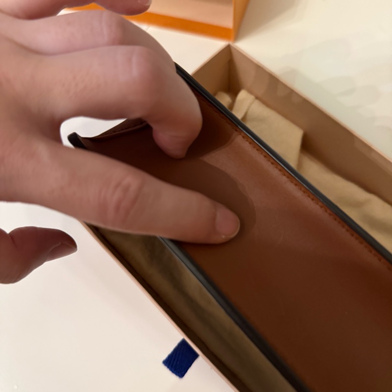 LV dauphine達芙尼 woc鏈帶包-18