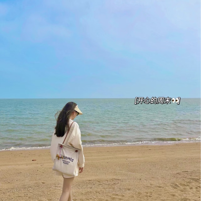 Rank A 日本中古Hermes Aline Tote-9