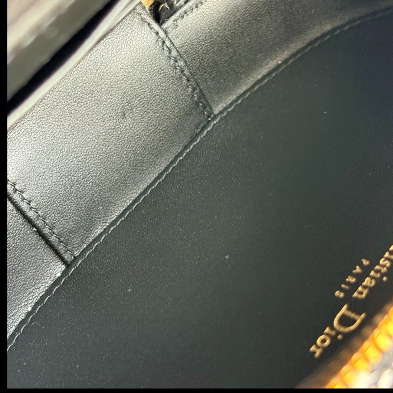 Dior • Signature 黑白千鳥格橢圓相機包 全新-9