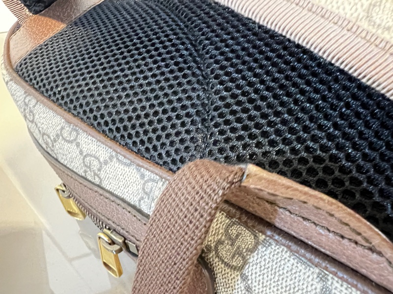 Gucci pvc咖皮邊OphidiaGG霧金釦前口袋後背包-19