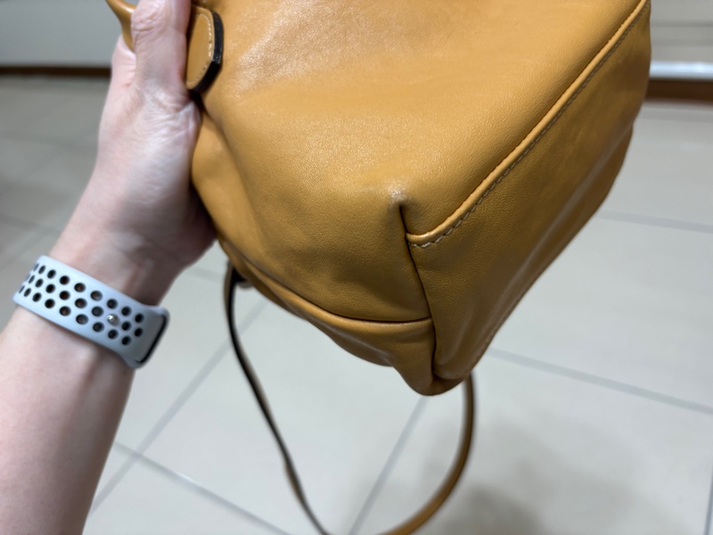 Longchamp 蜜糖色XS手提斜背水餃包-7