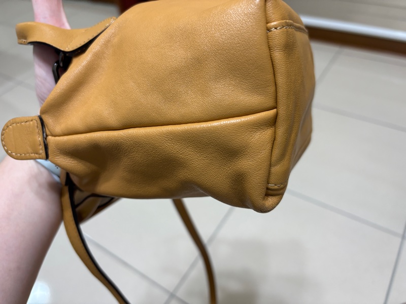 Longchamp 蜜糖色XS手提斜背水餃包-8