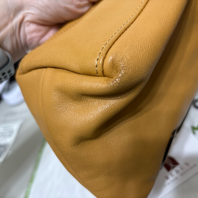 Longchamp 蜜糖色XS手提斜背水餃包-12