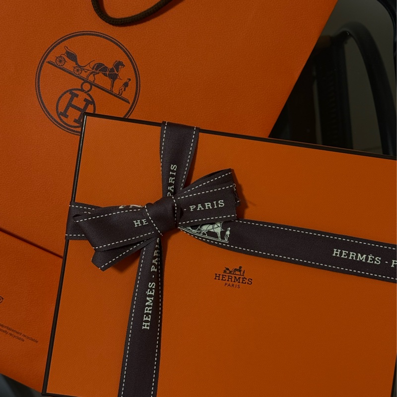 ［全新］Mini Evelyne16 金棕色金扣-1