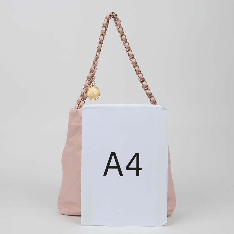 【包稅】CHANEL AS3260 小號肩背包 22-10